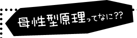母性型原理ってなに？？
